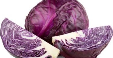 Can I give my rabbits red cabbage
