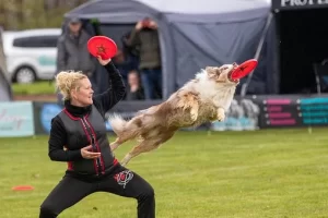 disc dog frisbee training