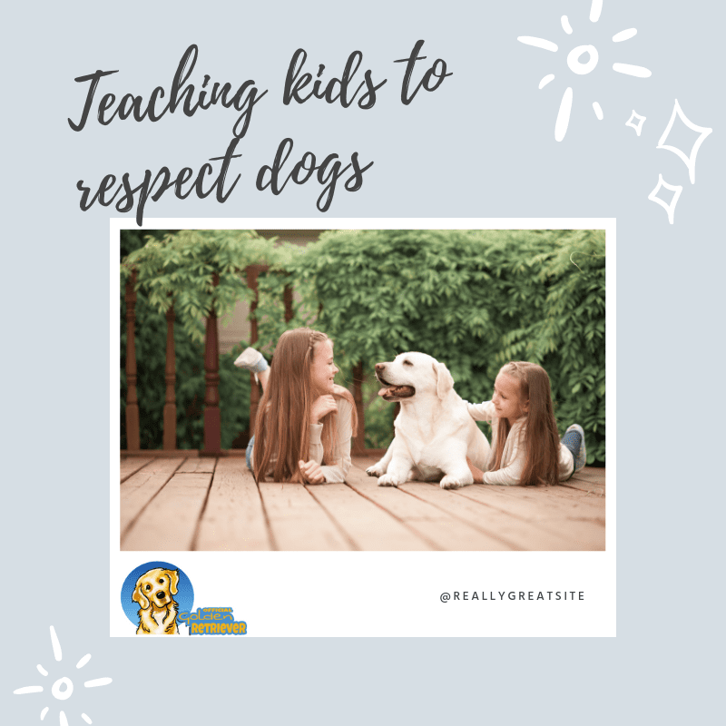 teach Children to Respect Dogs