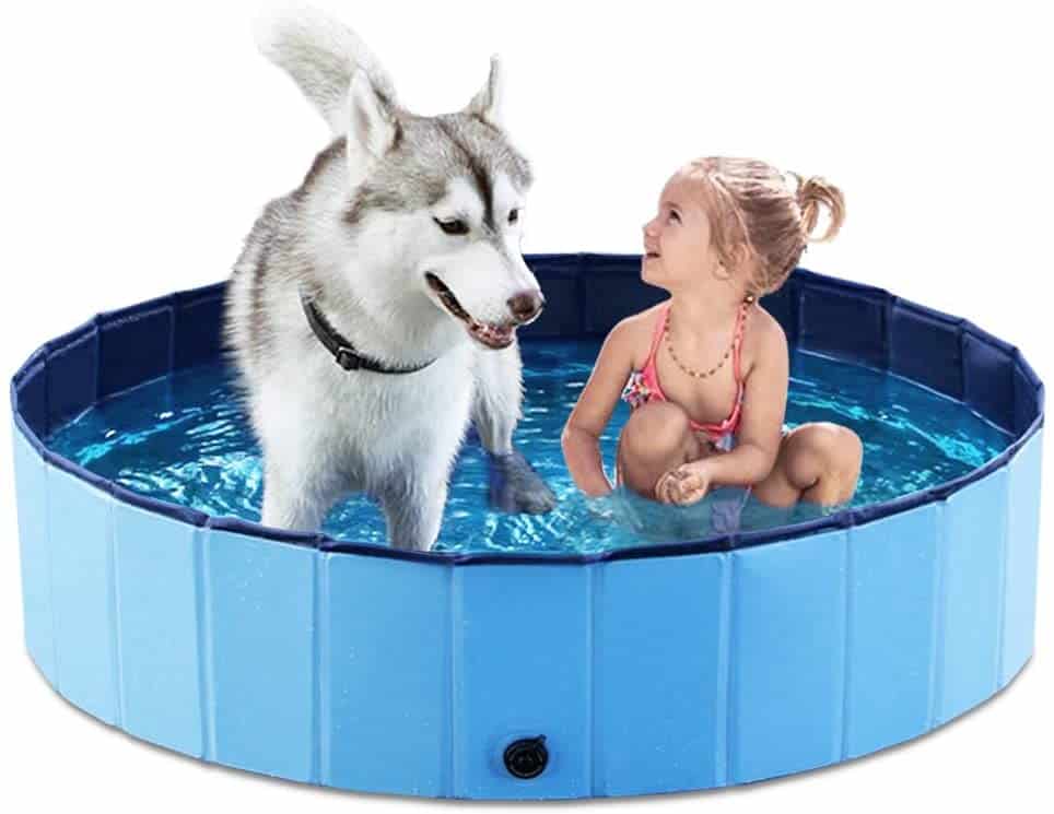Dog pools1